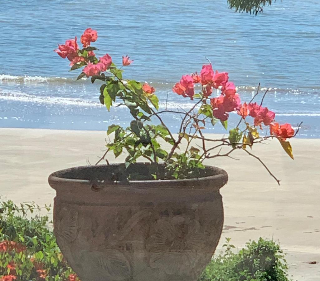 Beachfront Peace Cabin Oak Beach 外观 照片