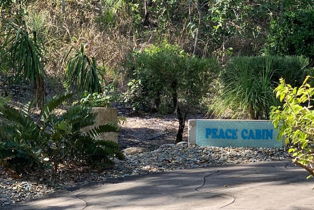 Beachfront Peace Cabin Oak Beach 外观 照片